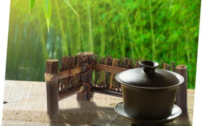 GANAZONO Small Fence Sashimi Plate Review