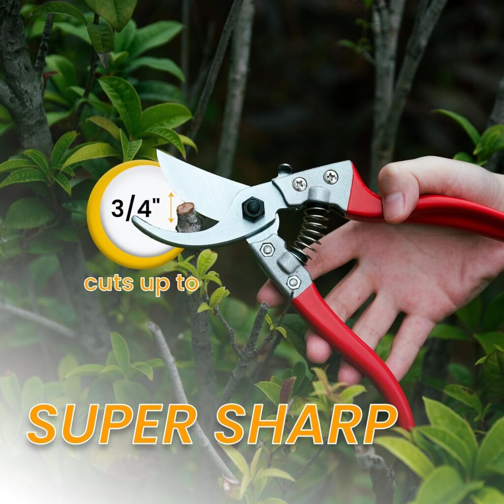 Goture 1-Pack 8.5 Professional Bypass Pruning Shear with SK-5 Steel Blade  An Additional Spring - Premium Garden Hand Pruner, Trimming Scissor, Plant Cutting Shear, Garden Clipper Tool