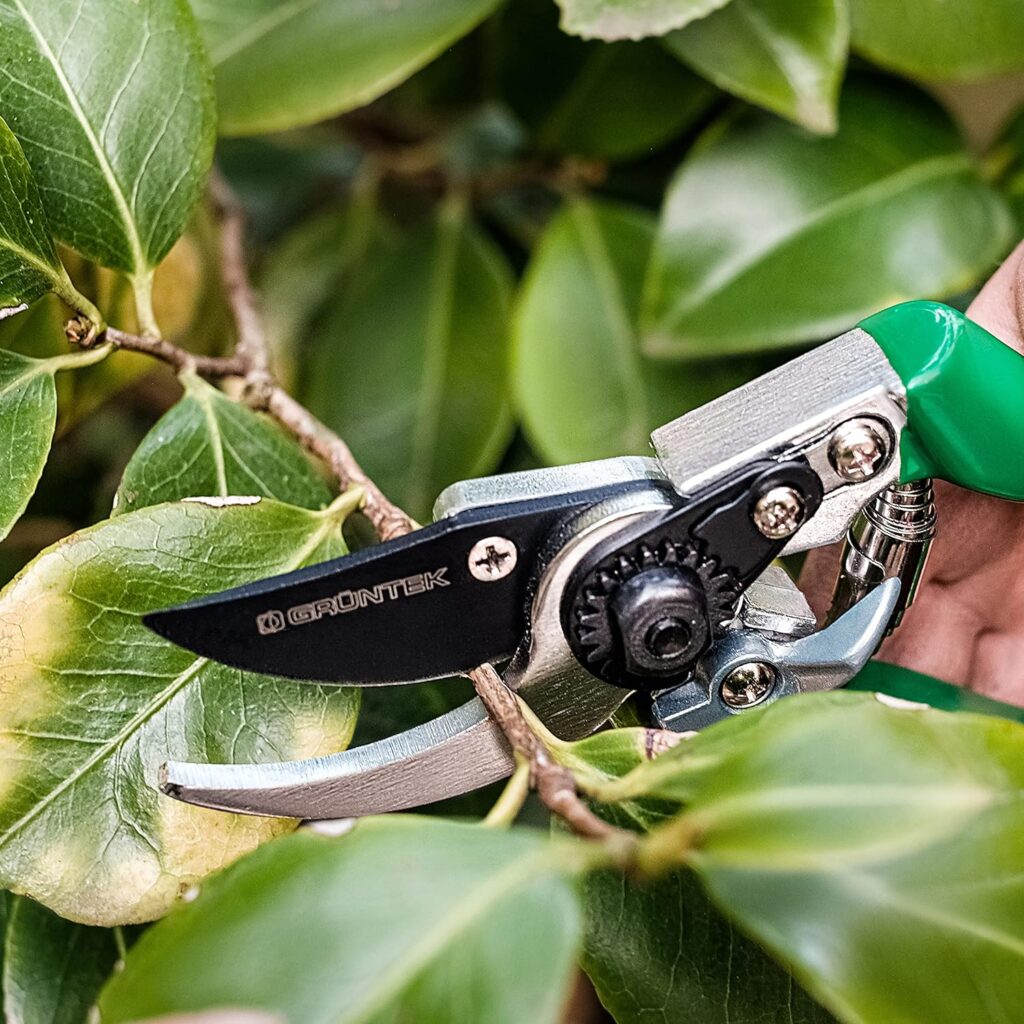 GRÜNTEK BYPASS Garden Pruning Shears FALCON Blade 48 mm / 1.9, Japanese SK5 Steel Blade, TEFLON Coated, Precision Cutting, Ergonomic Handles Garden Pruners