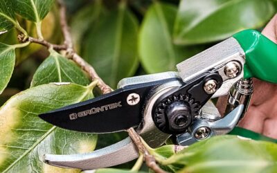 GRÜNTEK BYPASS Garden Pruning Shears Review