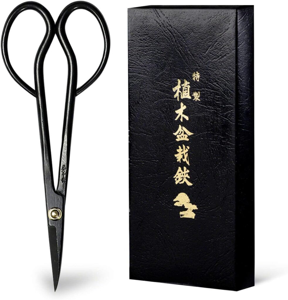 Hanafubuki Wazakura Satsuki Bonsai Scissors Made in Japan 7 inch (180 mm), Japanese Bonsai Garden Tools, Hasami Pruning Shears