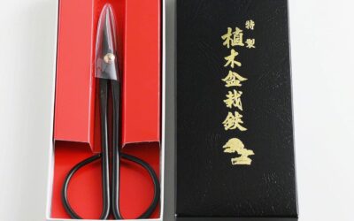 Hanafubuki Wazakura Twig Bonsai Scissors Review