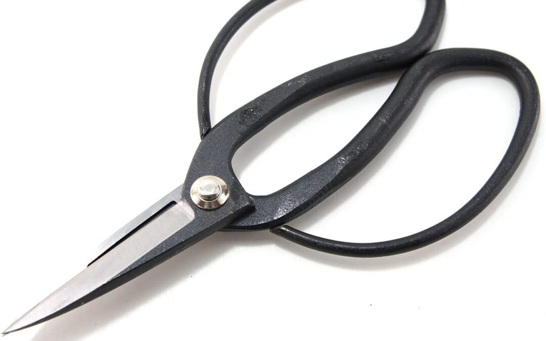 Japanese Bonsai Gardening Scissors Review