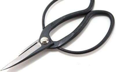 Japanese Bonsai Gardening Scissors Review