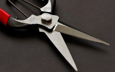 Japanese Garden Shears Made in JAPAN Review