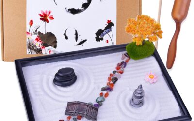 Japanese Zen Garden Kit Review