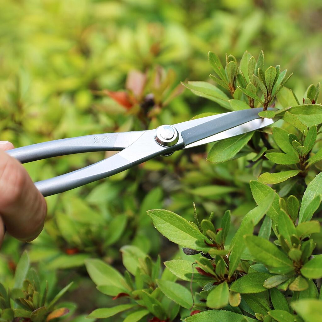 KAKURI Satsuki Bonsai Scissors 7 (180 mm) Professional Bonsai Tool, Japanese Stainless Steel, Silver, Made in JAPAN