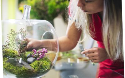 Kisangel Micro Landscape Ornament Review