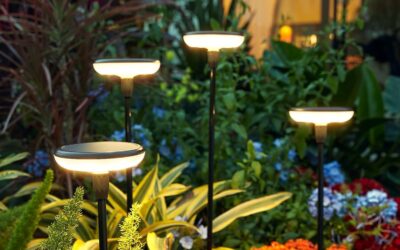 LETMY Solar Garden Lights Review