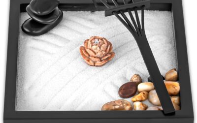 Mini Zen Garden Kit for Desk Review