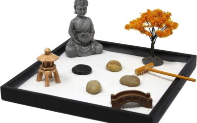 Nature’s Mark Mini Zen Garden Kit Review