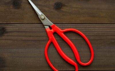 RANSHOU Grape Scissors Review