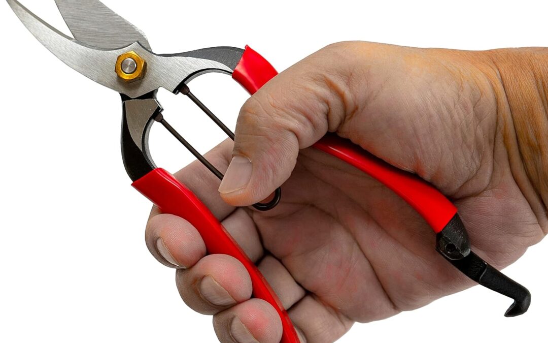 RANSHOU Japanese Pruning Shears Review