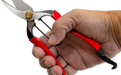 RANSHOU Japanese Pruning Shears Review