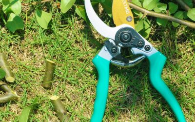 RESTMO Pruning Shears with Adjustable Bypass Gardening Pruners Review