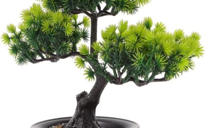 STOBAZA Artificial Fake Bonsai Tree Review