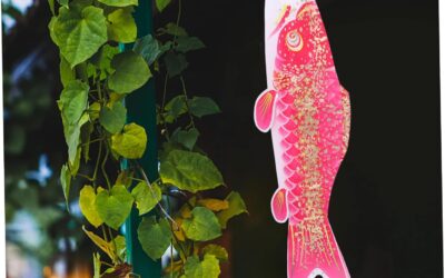 SUPVOX Carp Streamer Review