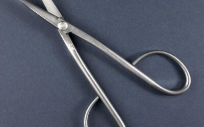 Wazakura Yasugi Stainless Steel Bonsai Scissors Review