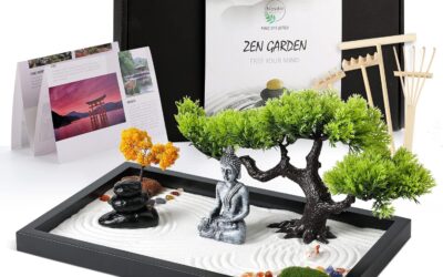 Zen Garden Kit for Desk Decor Review