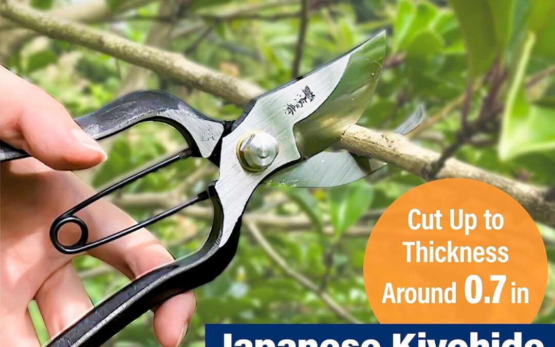 Japanese Kiyohide Pruning Shears Review