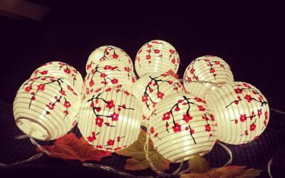 JYWJ Sakura Flowers LED String Light Review