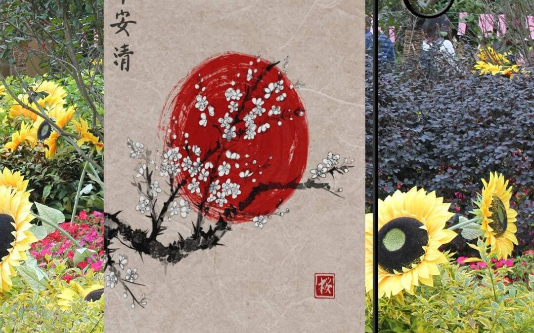 ALAZA Japanese Sakura Blossom Flag Review