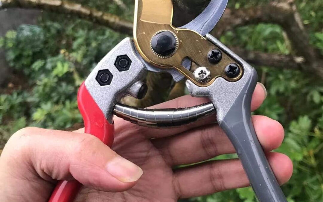 Garden Shears Review