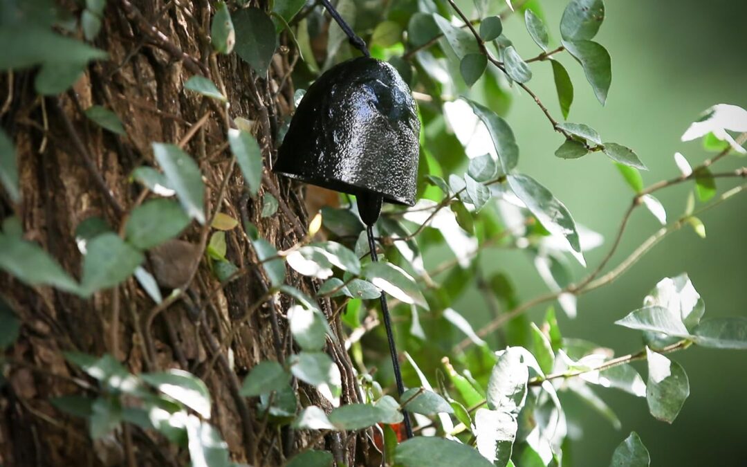 Japanese Wind Chime Review