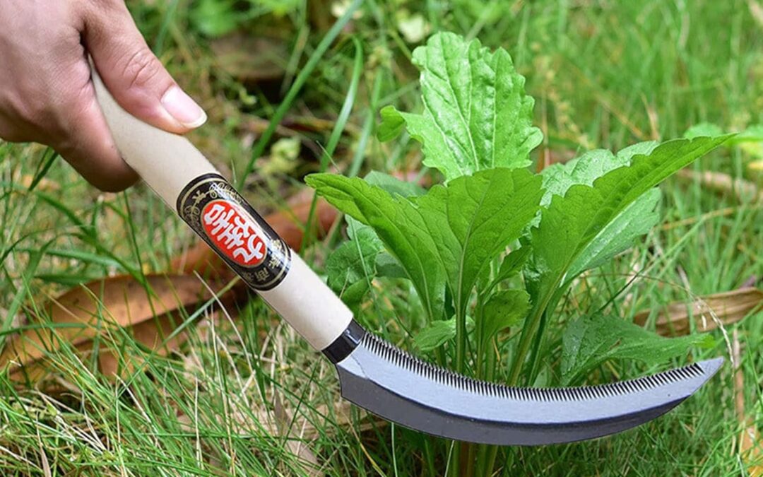 Hand Hoe/Sickle Garden Tool Review