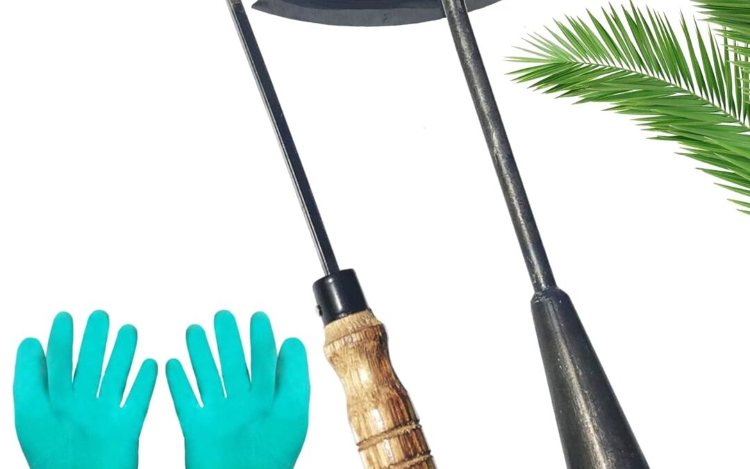 Pack of Weeding Tool Hollow Hoe Review