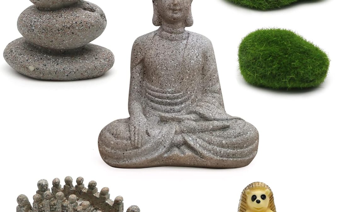 BangBangDa Miniature Buddha Garden Kit Review