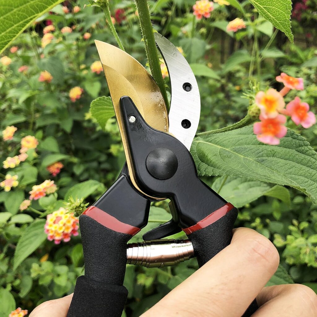 gonicc 8 Professional Premium Titanium Bypass Pruning Shears (GPPS-1003), Hand Pruners, Garden Clippers.