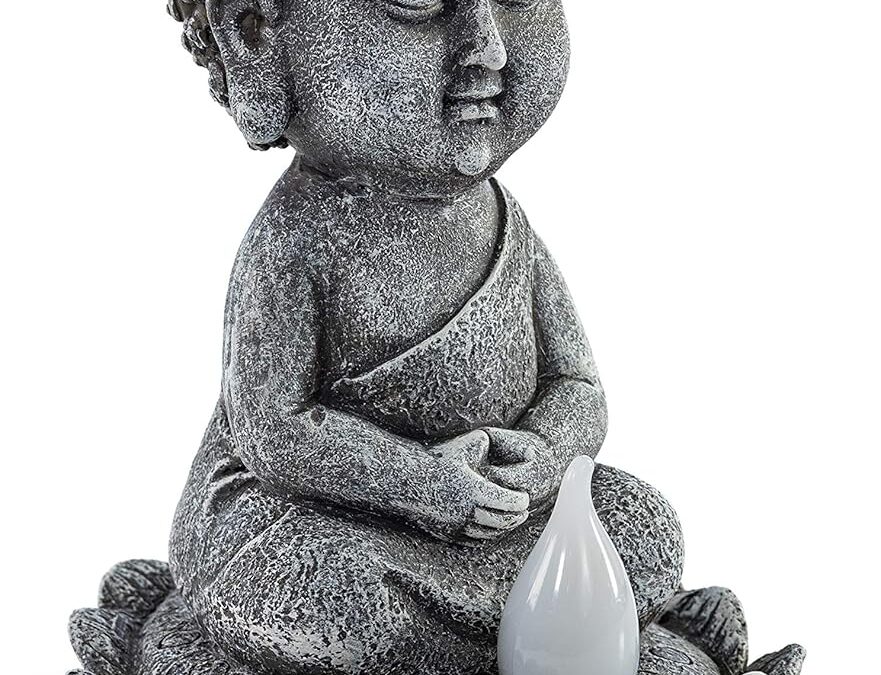 Home and Outdoor Decor Buddha Review