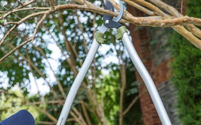 Worth Garden Heavy Duty Bypass Lopper Review