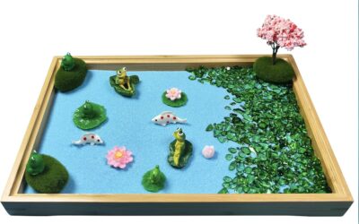 Aeepics Mini Zen Garden for Frog Review