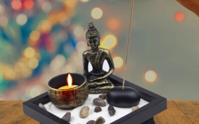 Beautiful Japanese Zen Garden Review