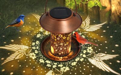 Bird Feeders for Outdoors Hummingbird Solar Lanterns Review