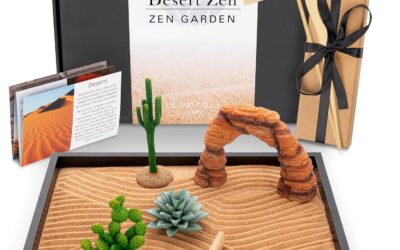 Desert Zen Garden Kit Review