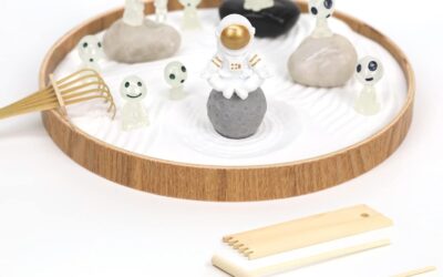 Desktop Zen Garden Kit Review