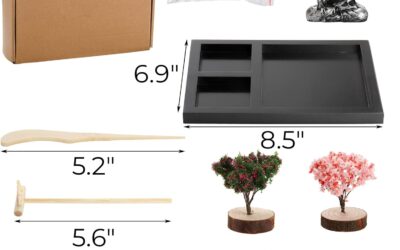 Japanese Mini Zen Garden Accessories Review