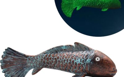 Koi Fish Decor Review