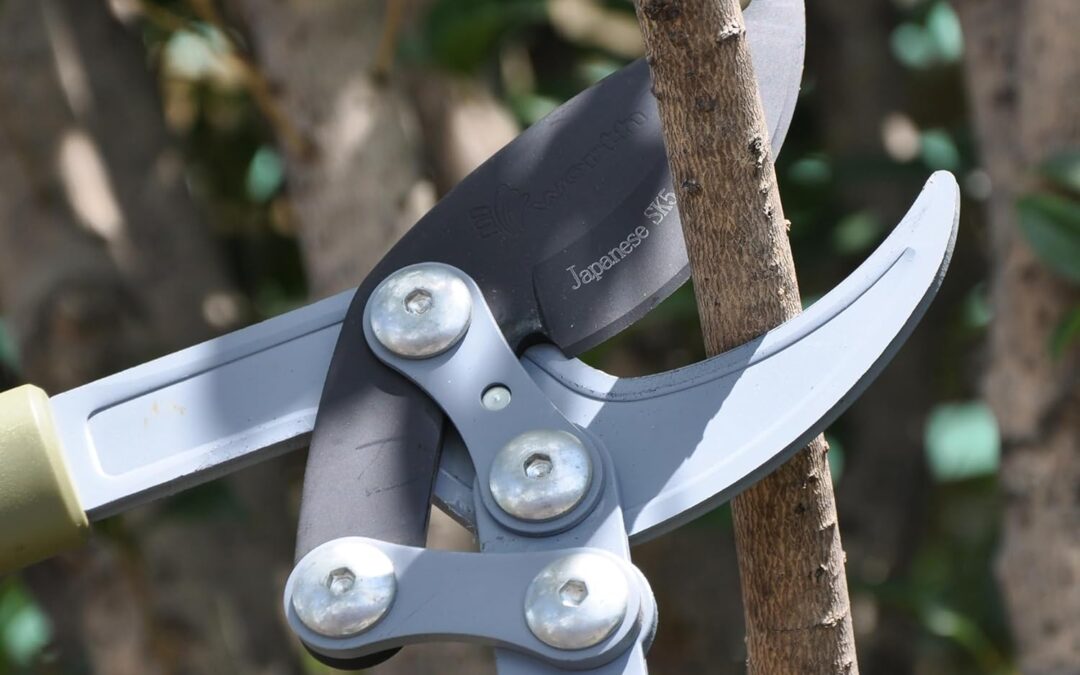 Worth Garden Heavy Duty 30″ Bypass Lopper Review