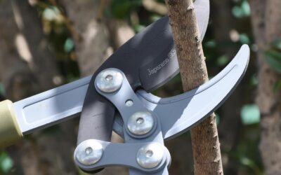 Worth Garden Heavy Duty 30″ Bypass Lopper Review