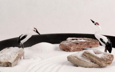Zen Garden with Boat Bridge Review
