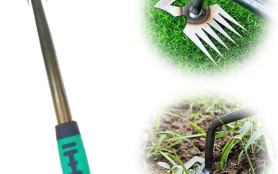 Gardening Hand Weeder Tools Review