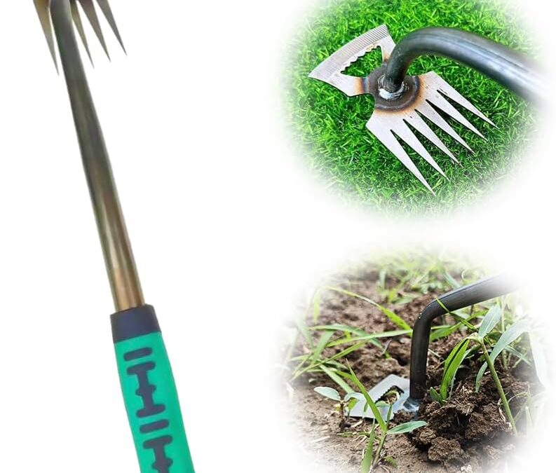 Gardening Hand Weeder Tools Review
