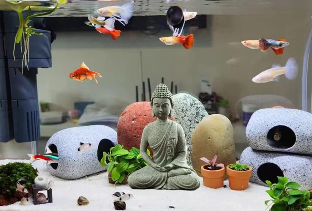 livelyfish Aquarium Buddha Statue review