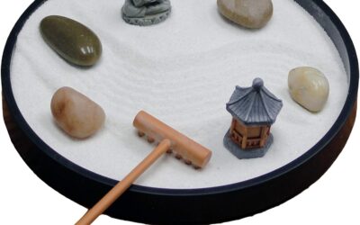 Mini Zen Garden for Desk Review