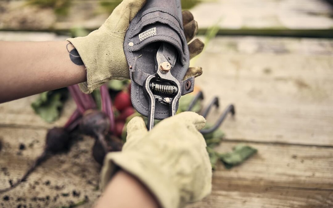 Barebones Pruner & Sheath Review