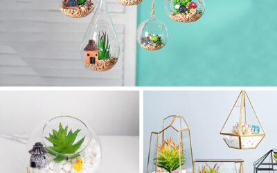 Fairy Garden Accessories Outdoor Review